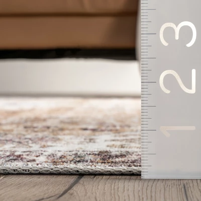 NuLOOM Paisley Machine Washable Faded Floral Border Medallion Area Rug - Image 2