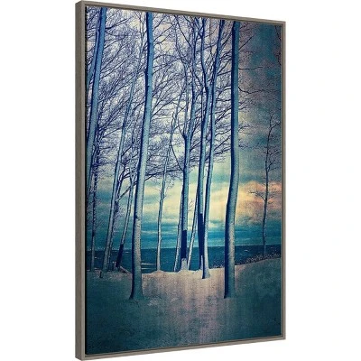 22" X 33" Winter Trees At Lake Michigan By Michelle Calkins Framed Canvas Wall Art Gray Wash - Amanti Art
